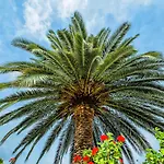 Xenios Port Marina 3* 佩科霍里