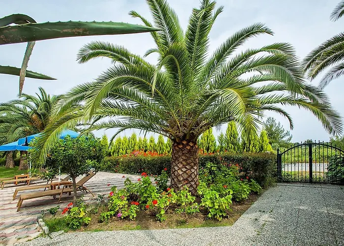 Xenios Port Marina Pefkochori