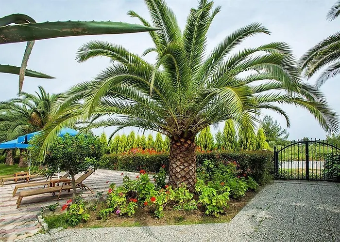 Xenios Port Marina Hotel Pefkochori